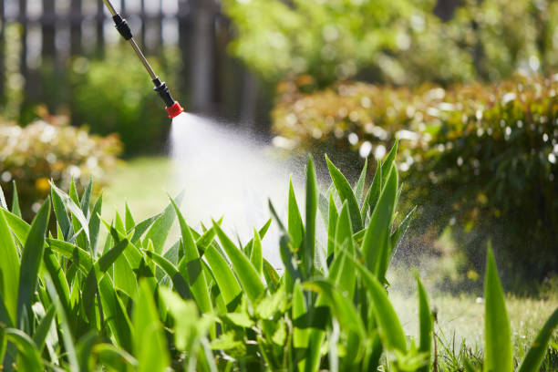 Tamper-Resistant Bait Stations for Rodents in Quinebaug