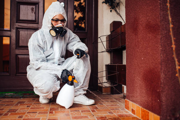Attic and Crawl Space Rodent Treatment in Quinebaug